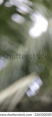 De focused and blurred beautiful abstract background of plants and trees behind the house. suitable for advertisements, text space and quotes.