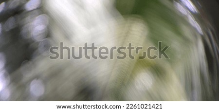 De focused and blurred beautiful abstract background of coconut leaves behind the house. suitable for advertisements, text space and quotes.