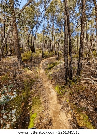 A warm day on mountain bike trails near Castlemaine in Victoria, Australia