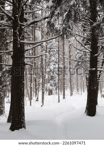 A doorway to a wintery wonderland