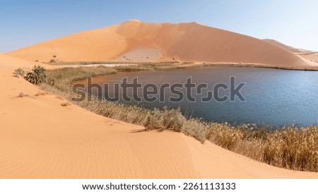Lakes in the Empty Quarter desert in Saudi Arabia Royalty-Free Stock Photo #2261113133