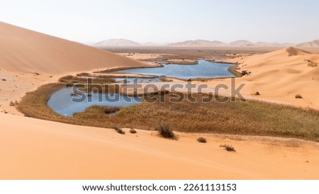 Lakes in the Empty Quarter desert in Saudi Arabia