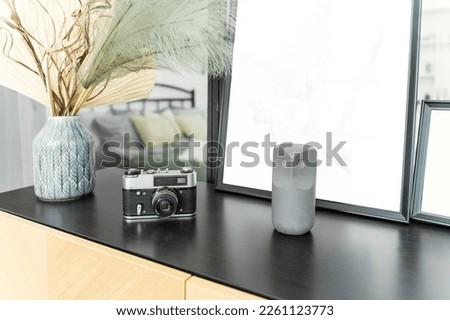 A camera with a lens on the photographer's desk, a vase of wild grass, an owl statue