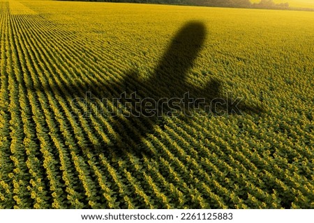 Shadow of the plane on the agricultural field. Concept of decarbonization and biofuel Royalty-Free Stock Photo #2261125883