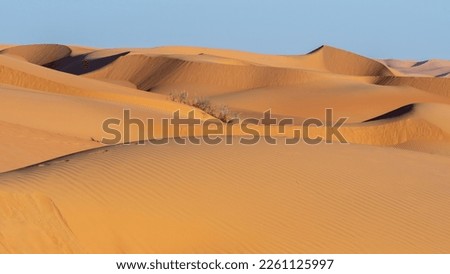 Sand dunes in Saudi Arabia, Empty Quarter Royalty-Free Stock Photo #2261125997