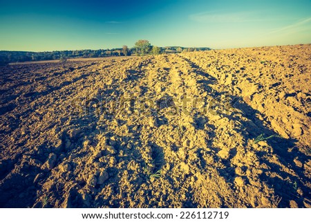 vintage photo of plowed field at good weather
