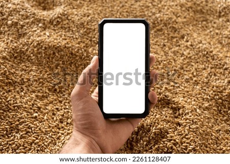 Smartphone in hand on the background of harvested grain