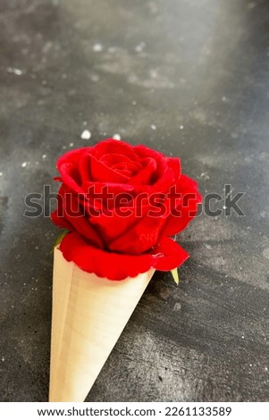  Red rose flower in a craft paper cone isolated on black background. Copy space. Valentine card concept. 