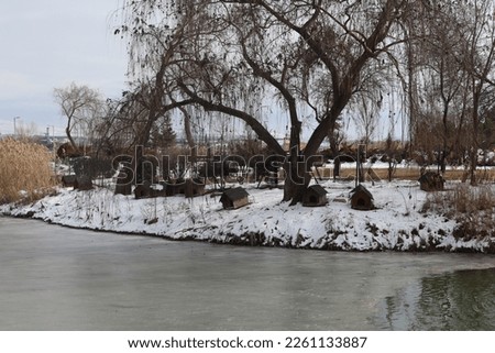 Ducks on the mogan lake in winter season