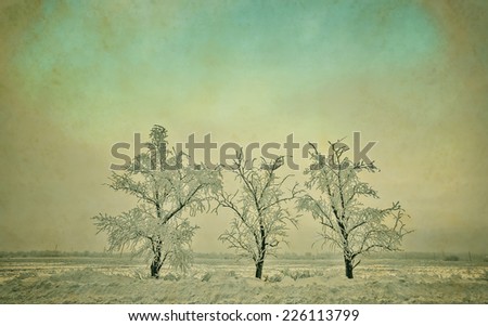 retro picture, three trees on a snow-covered valley, winter landscape, natural  background with vintage effect