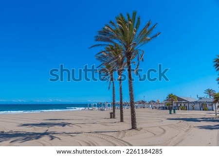 Palms at Playa de Venus at Marbella, Spain