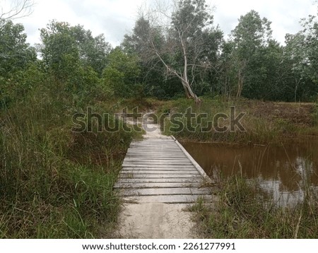 Small wooden bridge inside the tropical forest, no editing picture. 