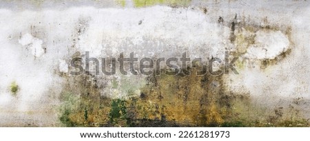 Texture cement wall with moss Royalty-Free Stock Photo #2261281973