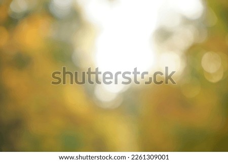 blurred image. Morning Sunlight Golden Glowing Sparkling Autumn Bokeh. Yellow Orange Maple Leaves Background. fall season Background. Autumn Leaves Background. sun rays. 