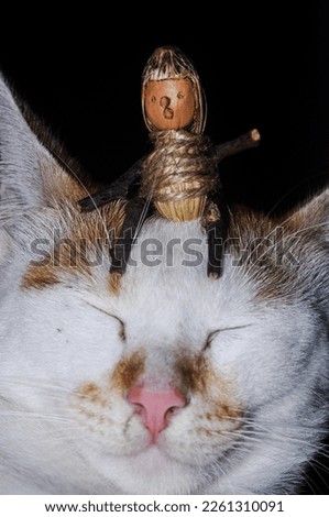 mini figure sit on cat head