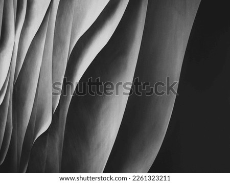 Grey curve texture wall art abstract background Royalty-Free Stock Photo #2261323211