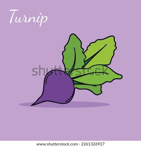 Vector icon of turnip. The product is a vegetable sharp purple turnip. Illustration of food turnip in flat minimalism style Royalty-Free Stock Photo #2261326927