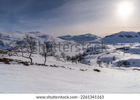 Haukelifjell is a mountain area and a mountain pass in South Norway. 
