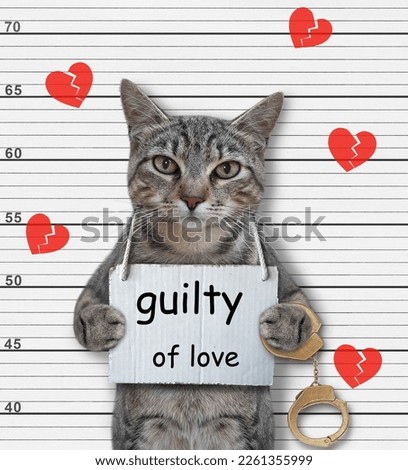 A gray cat was arrested. He has a sign around his neck that says guilty of love. Lineup white background.