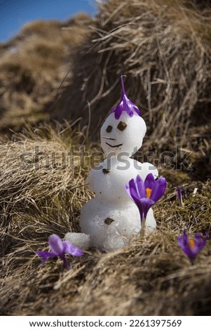 The last snowman of the season between flowers and dry grass Royalty-Free Stock Photo #2261397569