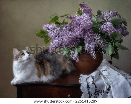 Still life with bouquet of lilac and curious kitty