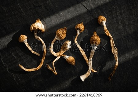 Dried hallucinogenic magic mushrooms on black background. Psychoactive Psilocybin Mushrooms. Dried shrooms on grunge plate Royalty-Free Stock Photo #2261418969