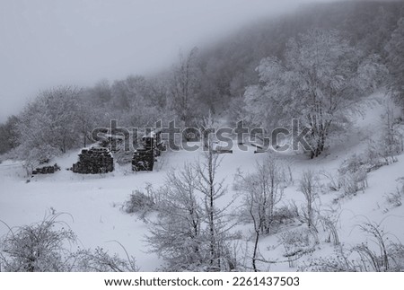 Winter landscape in Liguria with frozen trees and a ruined house, Genoa province, Italy Royalty-Free Stock Photo #2261437503