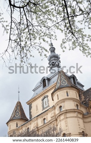 Castle and tree view in spring. Historic building of Vajdahunyad Castle landmark in Budapest, Hungary