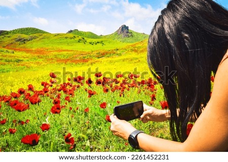 Close up view hand holds smart phone with flowers in display outdoors in poppy flower field. Smartphone photography and content creation concept.