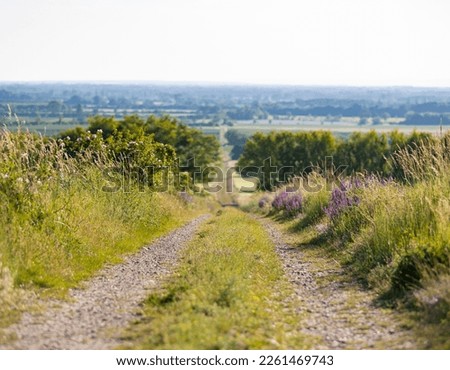 straight long dirt street with wild flowers Royalty-Free Stock Photo #2261469743
