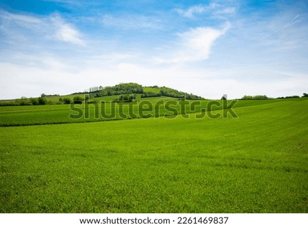green meadow with blue sky in spring Royalty-Free Stock Photo #2261469837