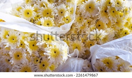 Close-up of beautiful flower bouquet of white chrysanthemum