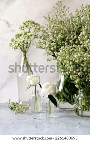 Fresh white gypsophila, piones on a white background. Wedding date. An invitation to a holiday. Congratulation.An empty space for text. View from above.