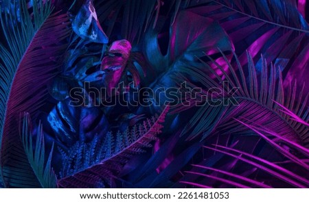 Trendy composition made of fluorescent color layout made of tropical jungle leaves. Flat lay neon colors. Nature concept. Creative art, minimal aesthetics. Royalty-Free Stock Photo #2261481053