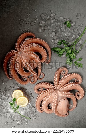 Korean food delicacies boiled octopus