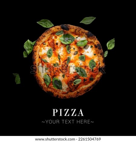 Top view of traditional Italian uncut Margherita pizza with tomatoes, mozzarella cheese and fresh basil leaves. Cheesy pizza isolated on black background with text and copy space