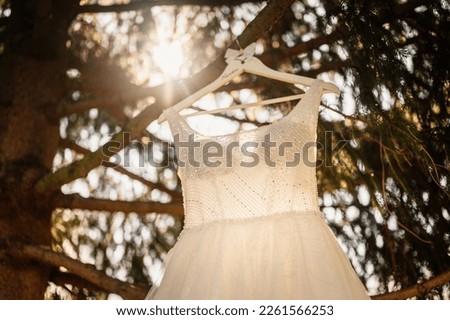 wedding bouquet on tree outside. the bride in a beige dress holds the flowers. wedding bouquet of flowers and greenery