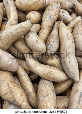 View of a bunch of sweet potatoes on display at the super market.
