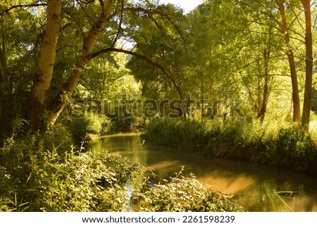 Beautiful view of the Turia river running through a lush forest in the stretch of Rincón de Ademuz in Spain, on a sunny summer afternoon Royalty-Free Stock Photo #2261598239