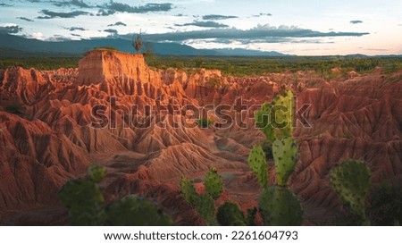 Tatacoa desert red rock formations with cactus neiva villavieja colombia Royalty-Free Stock Photo #2261604793