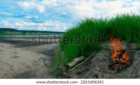A bonfire burns on a bright day near the northern Vilyui River in Yakutia in the sand on the beach next to tall green grass under blue clouds and birch firewood nearby.