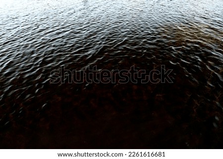Photo of a transparent water surface with light reflection on the waves during the day and stones with plants at the bottom.