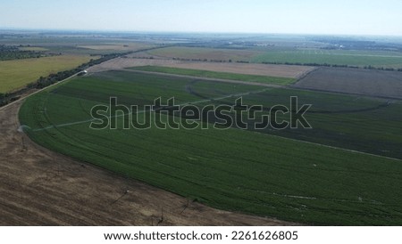 field irrigation and crop circles over the summer