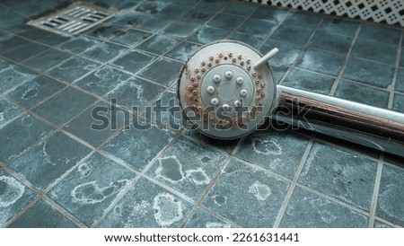 Silver shower head with limescales that should be cleaned and mold on tiles. Calcified shower due to hard water. Calcium mineral buildup. Royalty-Free Stock Photo #2261631441