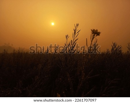 Early Good Morning Sunrise Image And Photo