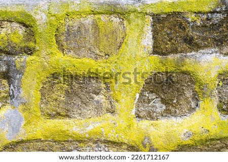 Stone wall with checkered pattern and thick mortar covered in light green mold. Background texture.