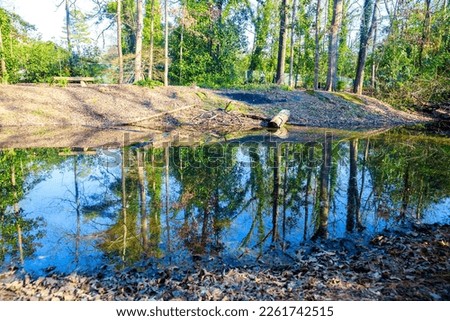 Pond in the forest, reflection of trees in the water.