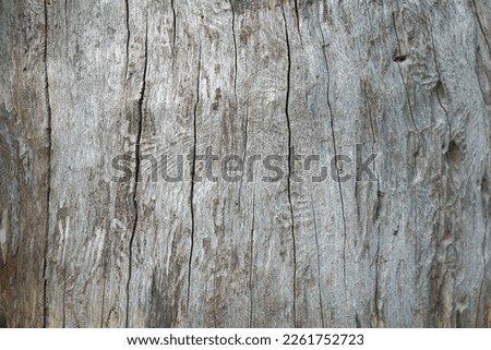 decayed wood background patterned from cracking