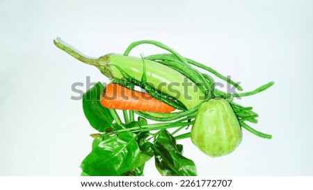 long beans, green eggplant, gnetum gnemon leaf, carrot, green chili, chayote. Ingredients to make lodeh or Indonesian vegetable soup with coconut milk. Indonesian food
