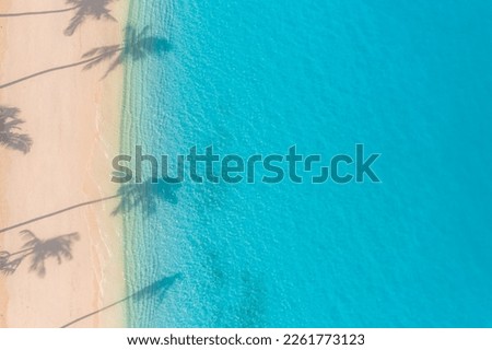 Beach palm trees on the sunny sandy beach and turquoise ocean from above. Amazing summer nature landscape. Stunning sunny beach scenery, relaxing peaceful and inspirational beach vacation template
 Royalty-Free Stock Photo #2261773123